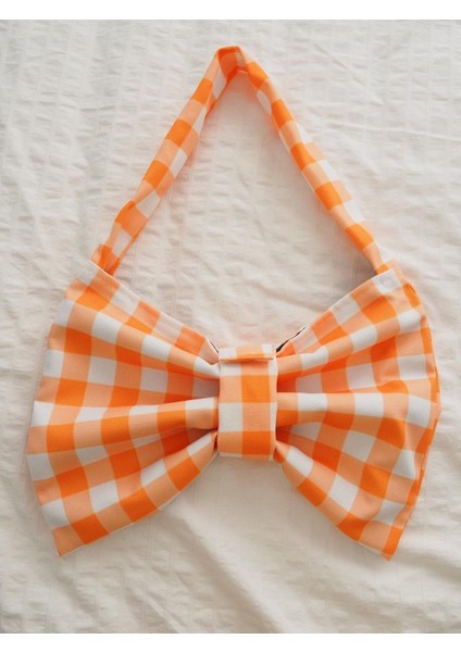 Renkli Damalı Fiyonk Tasarımlı Şık Çanta