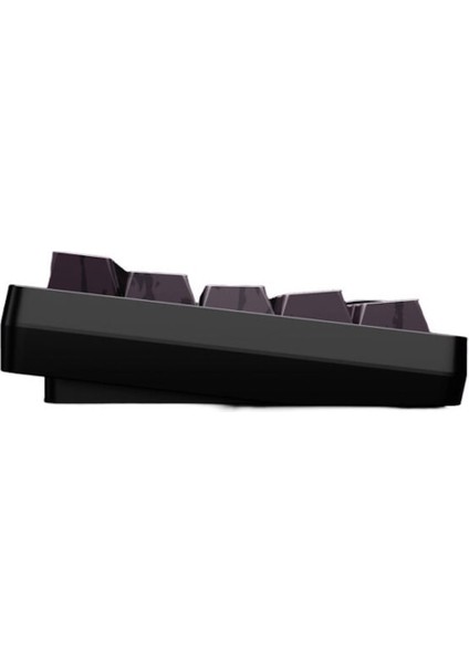 Muse65 HE Asgard %65 Gateron Magnetic Jade Pro Manyetik Switch Hall Effect RGB Hotswap Mekanik Gaming Klavye fiyatları