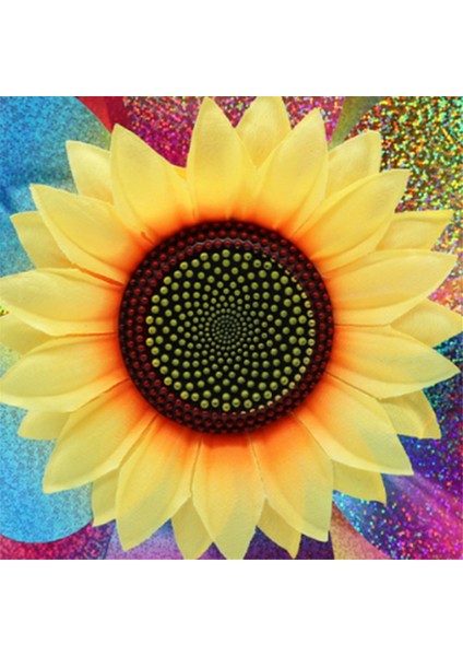 Gökkuşağı Renkli Ponheels Parıltılı, Rüzgar Tekerlekleri Bahçe Çim Bahçe Iyilikleri Için Rüzgar Döndürücü, Rüzgar Ponwheels (Yurt Dışından) fırsatları