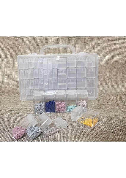 2 Boyutta 48 Yuvalı Tohum Saklama Düzenleyici Etiket Çıkartmaları, Dayanıklı Taşınabilir Tohum Kabı Kutusu (Yurt Dışından)