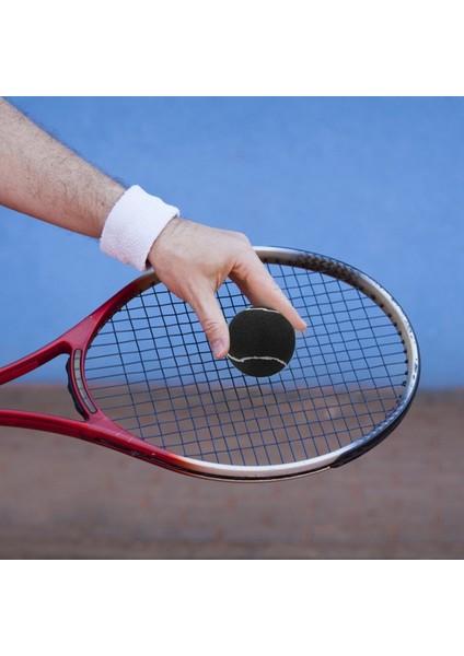 6 Adet Paket Tenis Topları Aşınmaya Dayanıklı Elastik Eğitim Topları 66MM Bayanlar Yeni Başlayanlar Uygulama Tenis Topu, Siyah (Yurt Dışından) modelleri