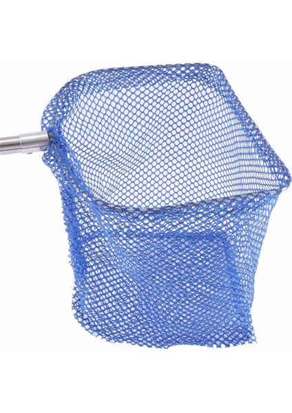 Taşınabilir Teleskopik Kepçe Net Masa Tenisi Topu Seçici Net Masa Tenisi Topu Seçici Konteyner Eğitim Aracı Top Için (Yurt Dışından) indirimleri