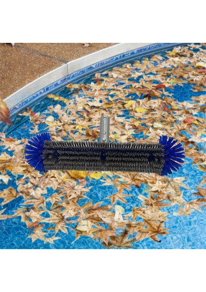 Yüzme Havuzu Fırça Başlığı Alüminyum Saplı Havuz Fırçası Yarım Küre Alüminyum Sırtlı Yüzme Havuzu Fırçası (Yurt Dışından) fiyatları