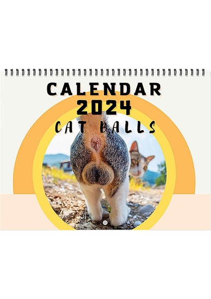 Kedi Butthole Takvimi 2024, Kedi Topları Takvimi 25X19CM Komik Kedi Butthole Takvimi, 12 Aylık Kedi Topları (Yurt Dışından)