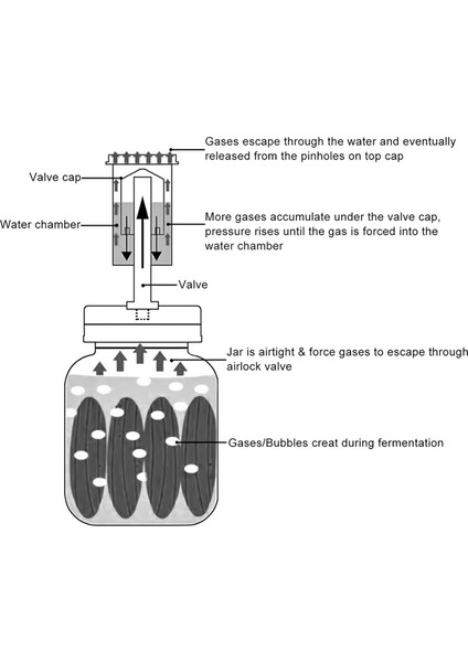 Fermantasyon Kapağı, Geniş Ağızlı Mason Kavanoz Için Fermantasyon Için Hava Kilitleri Lahana Turşusu, Turşu, Acı Sos Yapımı Için Fermantasyon Kapakları (Yurt Dışından) modelleri