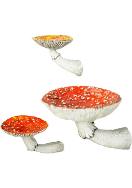 3 Adet Asılı Raf Duvar Sabit Raf Asılı Dekorlar Yatak Odası, Oturma Odası, Banyo ve Daha Fazlası Için Raflar (Yurt Dışından)