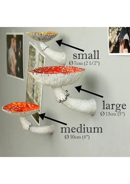 3 Adet Asılı Raf Duvar Sabit Raf Asılı Dekorlar Yatak Odası, Oturma Odası, Banyo ve Daha Fazlası Için Raflar (Yurt Dışından) fırsatları