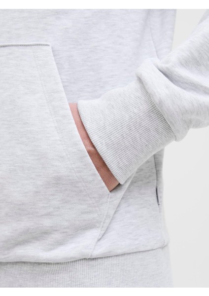 Erkek Gri Sweat 12268128 indirimleri