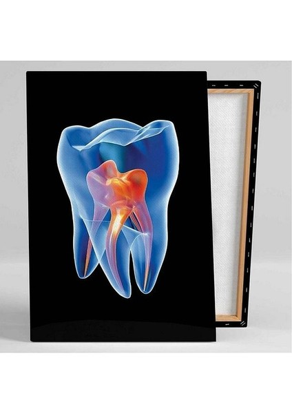 Diş Hekimi Ofis Kanal Sinirleri Dentist Hediyelik Dekarasyon Süsü Ölçü Seçmeyi Unutmayınız. fiyatları