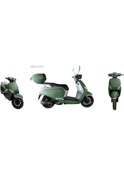 Beauty 50 Yeşil-Gri MM-BTY50-YSL*GRI fiyatları