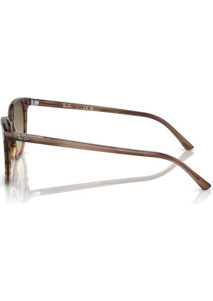 RB2197 13920A 52 Kadın Güneş Gözlüğü fiyatları