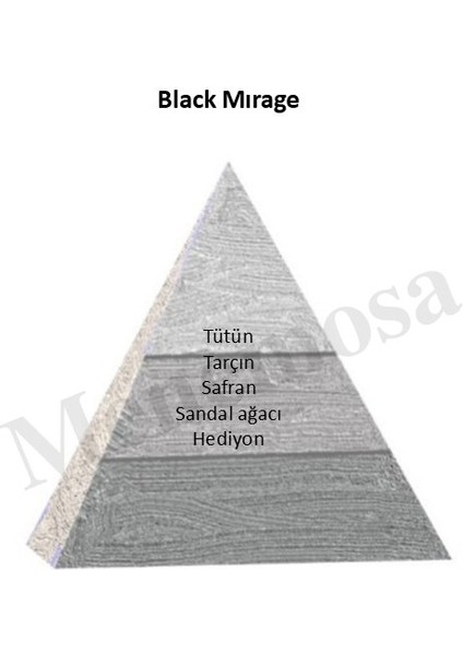 Niche Black Black Mirage Unisex Extrait De Perfume 100 ml - Mnms100bmır fiyatları