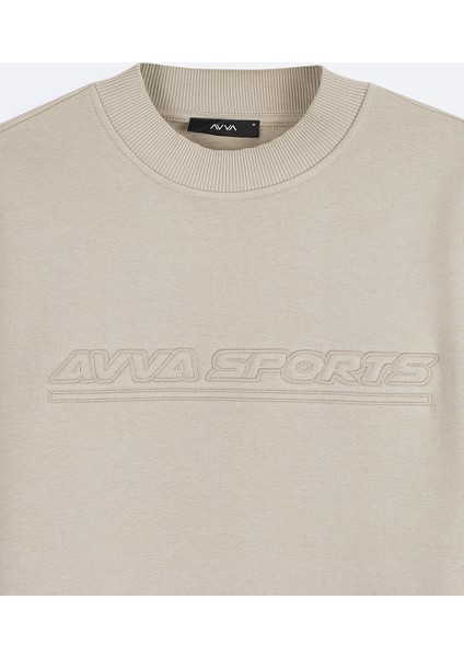 Erkek Taş Bisiklet Yaka 3 İplik Şardonlu Baskılı Regular Fit Sweatshirt A42Y1306