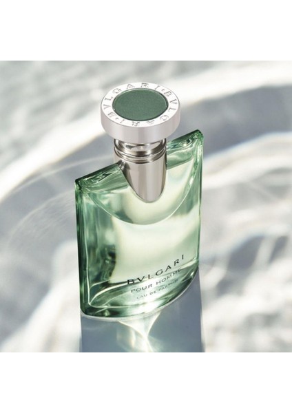 Pour Homme Edp 100 ml Erkek Parfümü modelleri