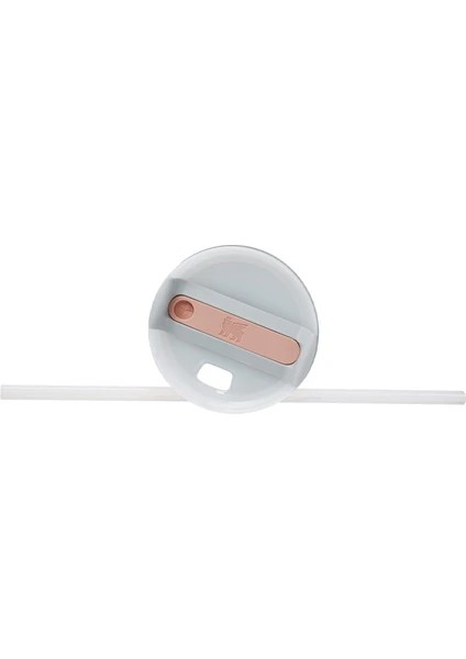 Kişiselleştirilebilir Stanley Quencher Pipetli Termos Bardak 1.18 Lt Özel Isimli modelleri