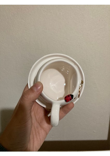 El Yapımı Uğur Böcekli Seramik Fincan modelleri