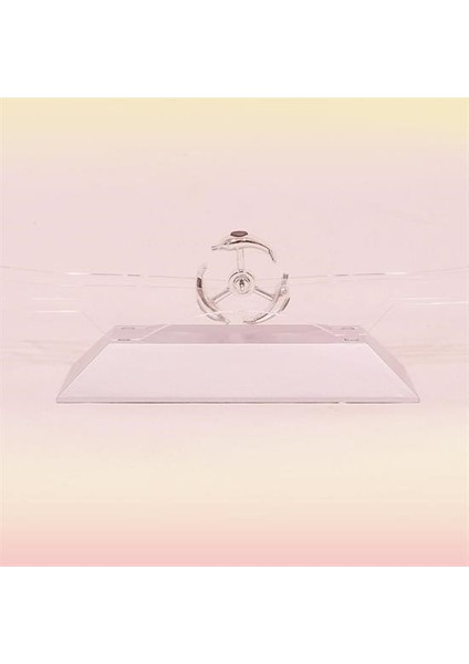 Tamarınd® Dekoratif Masa Üstü Obje Manyetik Kinetik Orbital Dönen Yunuslar