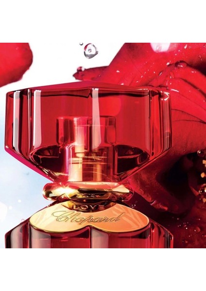 Love Edp 100 ml Kadın Parfümü fırsatları