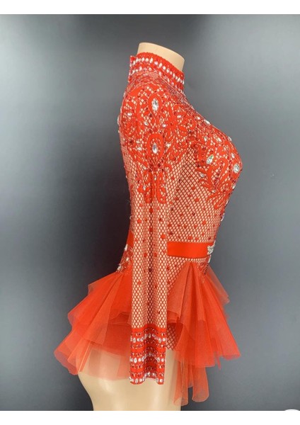 Dantel Bodysuit, Dansçı Body, Dansçı Kostüm, Mesh Ruffles Latin Dans Kostümü, Dansçı Mayosu fırsatları