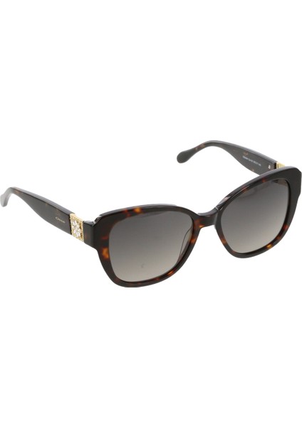 3444 02 Kadın Güneş Gözlüğü fırsatları