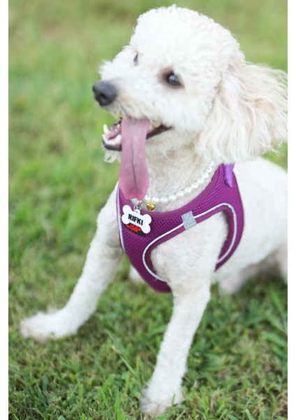 Nfc Akıllı Künye – Kemik Desenli – Isimli Model – Kişiye Özel – Kedi & Köpek indirimleri