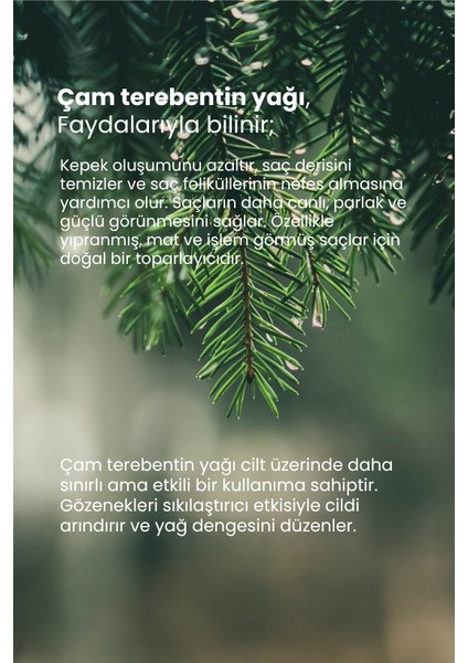 Thermal Çam Terebentin Yağı 10 ml modelleri