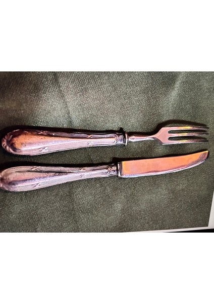 Gümüş Saplı Çatal Bıçak Takımı 15 cm Boylarında indirimleri