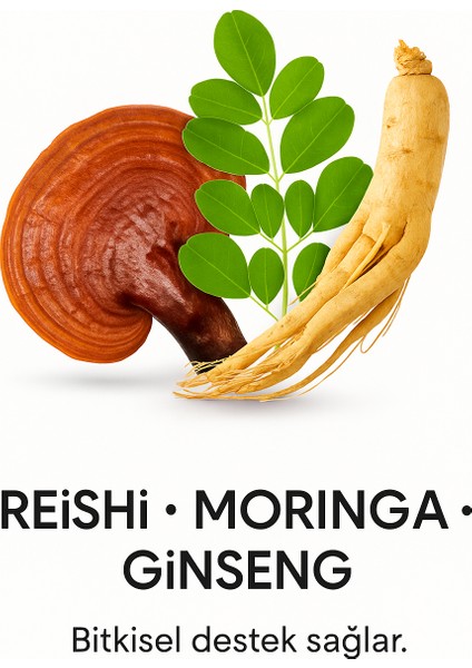 Welıve Kahve 3in1 Reshi & Moringa & Gınseng 20 Adet modelleri