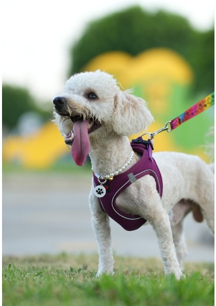 Nfc Akıllı Künye – Yuvarlak Pati Desenli – Kedi & Köpek