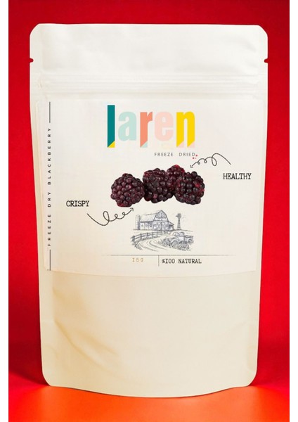 Böğürtlen - Dondurularak Kurutulmuş Böğürtlen- Doğal ve Sağlıklı Atıştırmalık (15G)