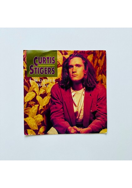 Curtis Stigers – I Wonder Why Dönem Baskı 45 Lik Plak