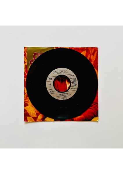 Curtis Stigers – I Wonder Why Dönem Baskı 45 Lik Plak modelleri