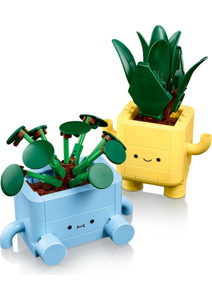 Botanicals Mutlu Bitkiler 10349 fırsatları