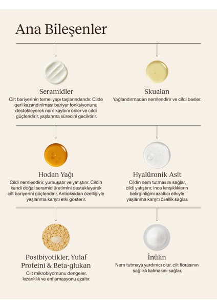 Balanced Moisturizer I Dengeli Nemlendirici Yüz Kremi I Besleyici I Seramid I Tüm Cilt Tipleri fırsatları