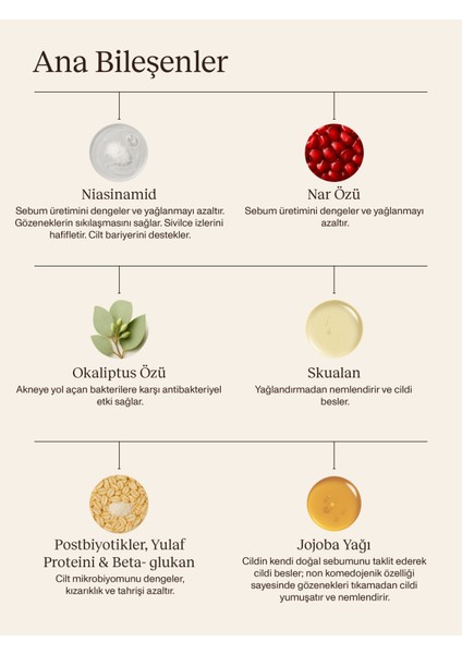Light Moisturizer I Hafif Nemlendirici Yüz Kremi I Sebum Dengeleyici I Yağlı ve Karma Cilt Tipi fırsatları