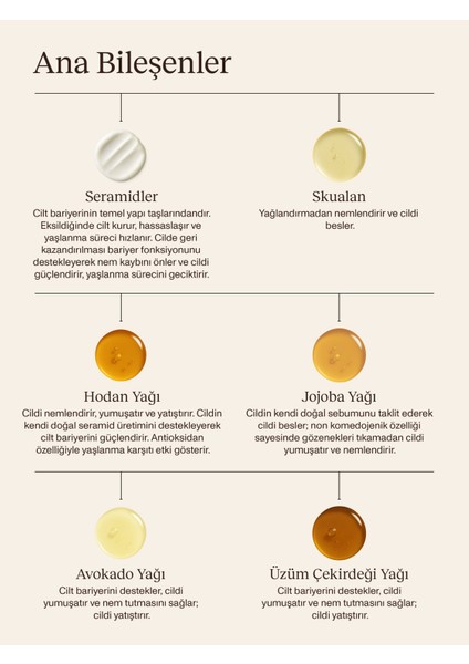 Lipid Restoring Booster I Cilt Lipid Dokusu Destekleyici Serum I Kuru ve Dengeli Cilt Tipi fırsatları