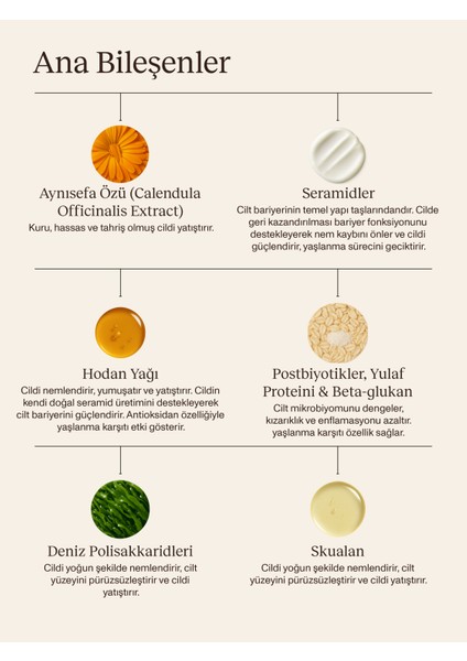 Intense Moisturizer I Yoğun Nemlendirici Yüz Kremi I Kuru Cilt Tipi fırsatları