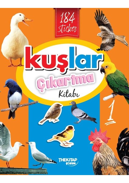 Kuşlar Çıkartma Kitabı- 1