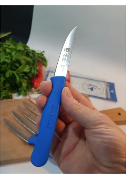 Sürdövbisa 61010 6'lı Meyve Seti (Sivri Uç ) Mavi