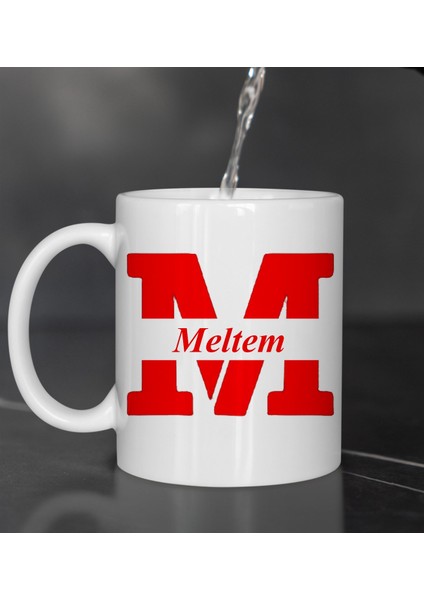 Kişiye Özel Yatay Renkli Masaüstü Her Ay Için Özel 12 Fotoğraflı Masa Takvim ve Kupa Bardak Peluş Ayıcık Kartanesi Gümüş Kaplama Kolye modelleri