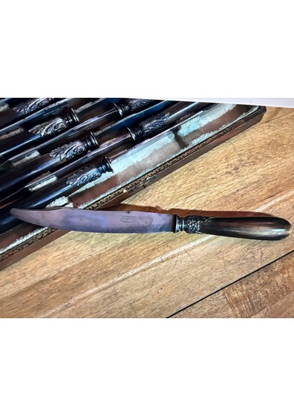 1930'S - 50's Châtellerault Fransız Boynuz Saplı 12 Li Bıçak Seti - Kutu Ölçüsü 23 cm x 14 cm fırsatları