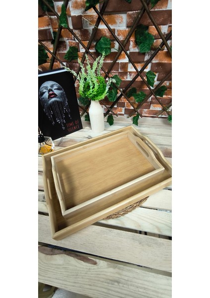 Ambu 2li Tepsi Dikdörtgen, Sunum Tepsisi 22CM*33CM + 29CM*40CM, Yüksek Kulp fiyatları