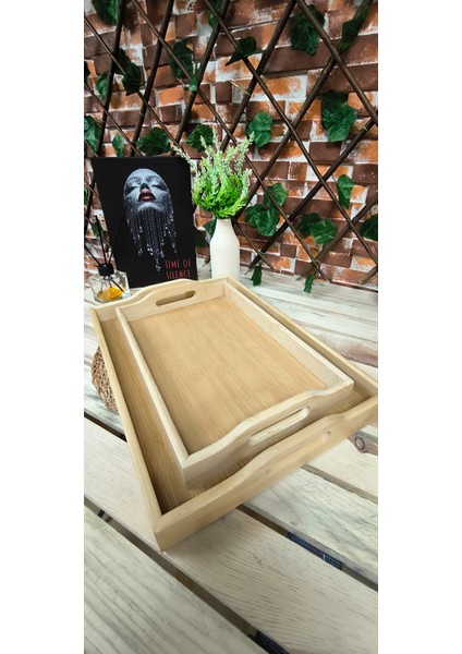 Ambu 2li Tepsi Dikdörtgen, Sunum Tepsisi 22CM*33CM + 29CM*40CM, Yüksek Kulp modelleri