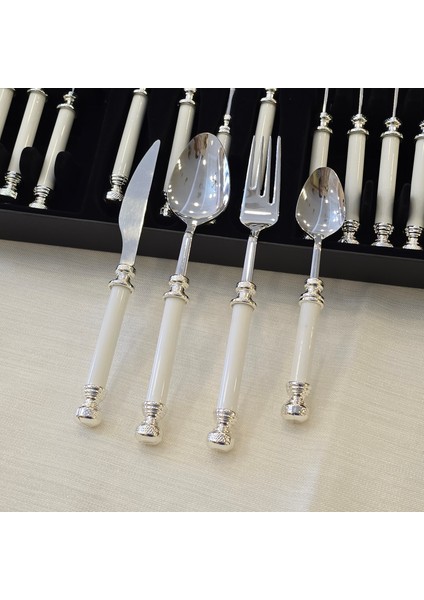 24 Parça Porselen Yemek Kaşık Takımı Gümüş fırsatları