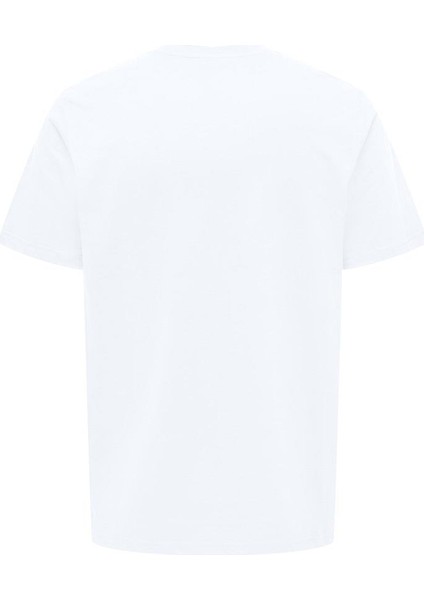 Onsdawson Reg Ss Tee Vd fiyatları