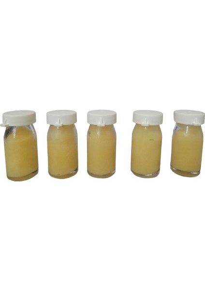 Arı Sütü 5 Li 50 gr modelleri