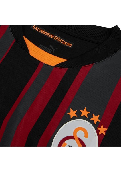 Galatasaray 2024/25 Üçüncü Erkek Siyah Futbol Forması 77965403 indirimleri