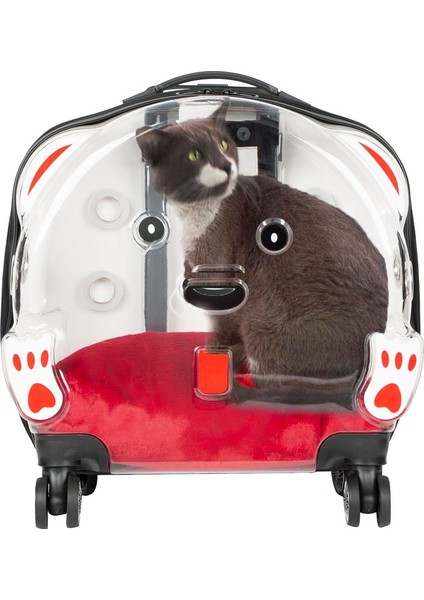 Ice Pet Tekerlekli Çekçekli Kedi Köpek Taşıma Valizi, 42X44 X23 Cm, Şeffaf modelleri