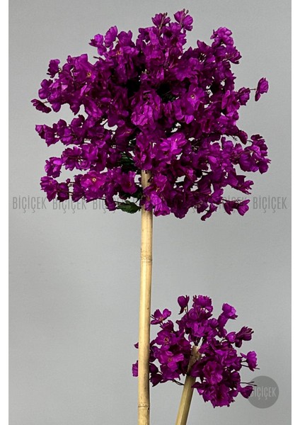 Yapay Ağaç Doğal Bambu Gövdeli Japon Ağacı Mor Bahar Dalı Ağacı 125CM modelleri