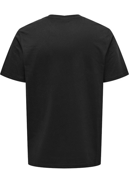 Onsdawson Reg Ss Tee Vd fiyatları